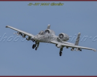 1GLOVELIER 0529